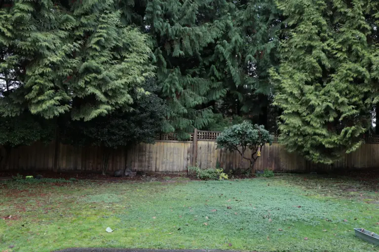Wooden privacy fence bordering a landscaped residential backyard