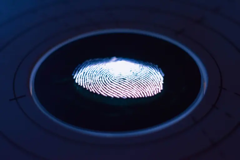 Digital fingerprint biometric scan illustration